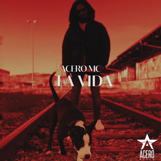Cover La Vida